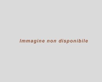 Webcam Riva del Garda, Residence Marina